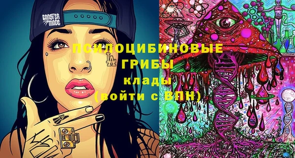 прущий лед Михайлов