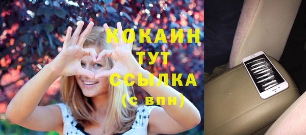 прущий лед Михайлов