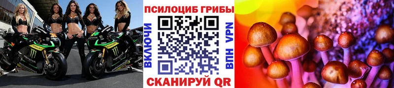 Галлюциногенные грибы мухоморы  Купить где  Удомля 