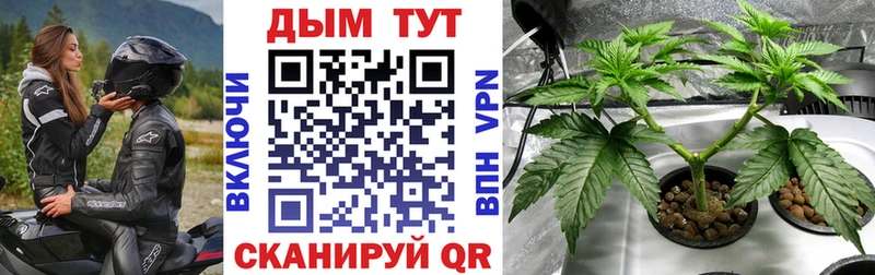 Бошки марихуана OG Kush  Купить  Удомля 